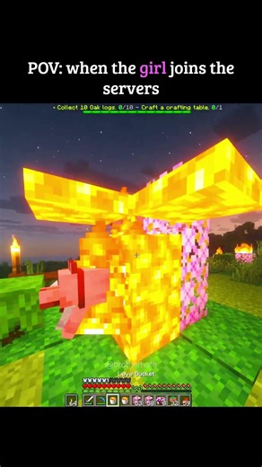 That one girl on minecraft servers #minecraft #shorts