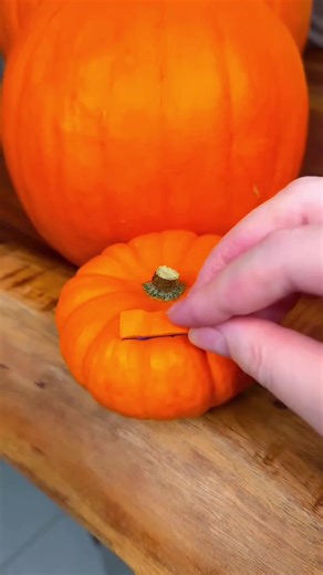 Exploring Corn with Slime: A Fun TikTok Experiment
