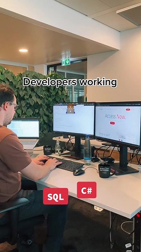 Developers Working on IT Projects: Any Similarity is Purely Coincidental