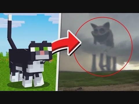 Minecraft Mobs Spotted in Real Life!