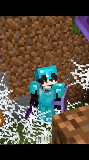 MINECRAFT SAMPLE SPIDER 🕷️🕸️