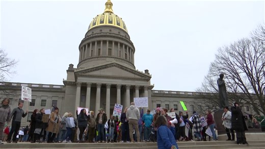 'We are being attacked:' Protesters gather at West Virginia capitol against Trump, Morrisey
