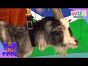 Big Cook Little Cook | Farmyard Smoothies | Food Fun | Wizz Friends