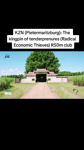 Today, ‘tenderpreneurs’ are associated with corruption, nepotism and clientelism. This is because the award of many tenders is driven by informal interests and/or political affiliation, rather than the requirements of formal procedure. #southafrica #petermaritzburg #crimestory #staroro55 #mkparty #fyp #eff #crime #anc #crimetok #education #greenscreen
