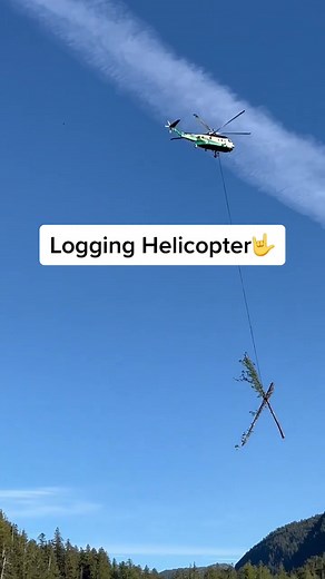 CanadianForestryIG on TikTok