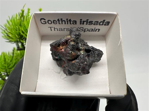 Iridescent Goethite Crystal Cluster, Spain Mineral Specimen - Etsy