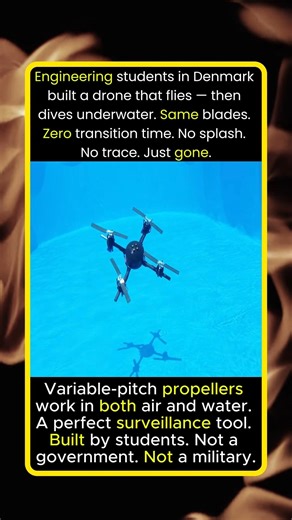 Drone that Swims & flies
