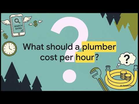 Is it worth hiring a plumber?