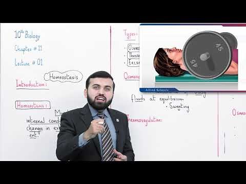 Class 10 - Biology - Chapter 11 - Lecture 1 Homeostasis in plants - Allied Schools