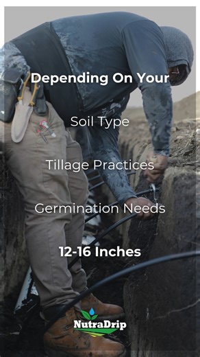 FAQ: How deep is the tape buried? Different factors that go into deciding depth if drip tape installation include the following: Not too deep: Installing drip tape deeper than 16 inches causes the water and nutrients to be dispensed below the root zone, decreasing nutrient effectiveness. Tillage practices: drip tape should be installed about 6 inches below the deepest tillage pass, but no deeper than 16 inches. Soil erosion: It’s essential to determine if soil movement could eventually expose th