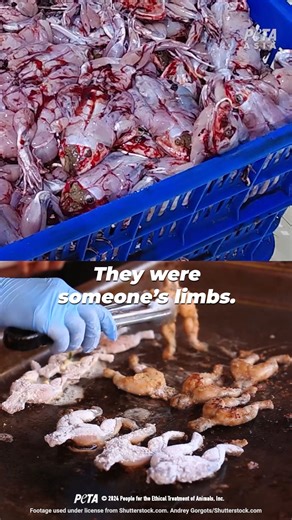 394K views · 15K reactions | Does this really look appetizing to you? 濫 PETA Asia recently exposed the disturbing truth of the frogs’ legs industry and found frogs still alive as they’re skinned and butchered. | PETA (People for the Ethical Treatment of Animals) | Facebook
