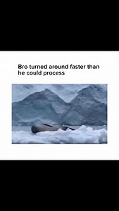 Penguins have many predators, including: Leopard seals. These large seals are the main predators of penguins in Antarctica, hunting them in the water and on land. Killer whales. These whales are effective hunters of penguins that get too close to the ocean. Sea lions. These pinnipeds may prey on penguins in certain situations. Sharks. Larger sharks, such as great white sharks, may prey on penguins. Sea eagles. These strong aerial hunters may prey on penguins, especially the smaller Little Pengui