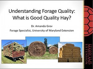 What the Hay Webinar 1: Understanding Forage Quality