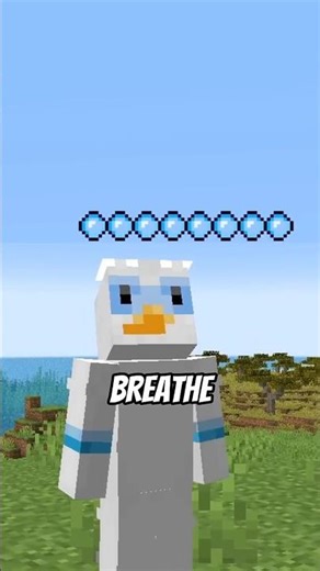 Minecraft but you can't breath air