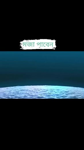 user13208906649 on TikTok