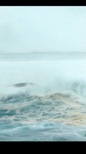 176K views · 1.5K reactions | It’s very difficult to maintain safety in an unpredictable, unsafe environment like with big wave surfing. Anything can happen and in this case a ski fails, team work helped save it from the rocks. #mauimediacartel #mauicartel #mahalonuiloa #hawaii #surfer #bigwaves #Surfing #peahi | Maui Media Cartel | Facebook