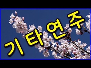 기타연주곡 양태환 ❤️철쭉꽃.배경영상 ❤️ #경음악 #관광 #디스코 #뽕짝 #가요 #트로트 #쌍쌍가요 (339-2)