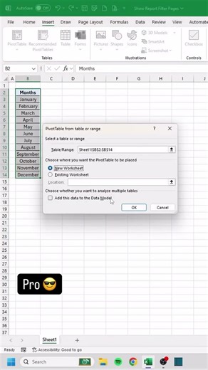 show report filter page in Excel 🤷😎 #excel