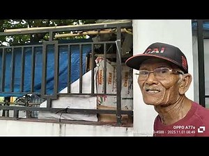 MERPATI BALAP. BURUNG MERPATI. BURUNG DARA. BELAJAR DARI BURUNG MERPATI. BOS MUDA. WA.0812-2861-7755