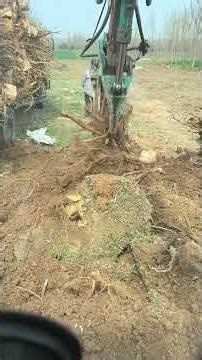 Unbelievable Excavator Stump Removal 🌳🔥| Satisfying Video | Ep 58