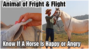 FSA Entertainment on Reels | Facebook