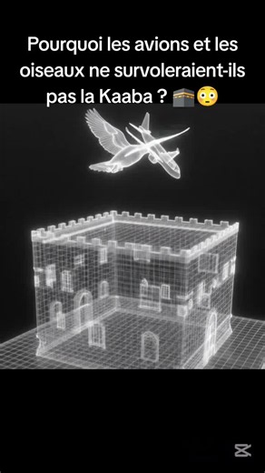 Pourquoi les avions et les oiseaux ne survoleraient-ils pas la Kaaba ? 🕋😳Kaaba #Islam #pourtoi #Science #CultureGénérale #kaaba