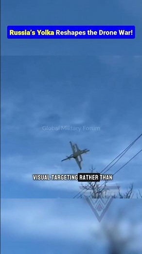 How Yolka Drones Neutralize Ukrainian FPVs