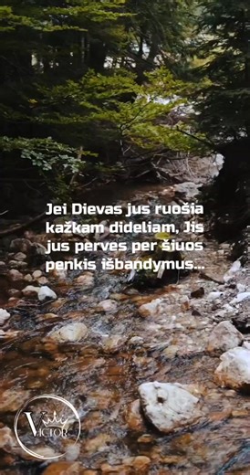 Motivational Quotes for Inspiration