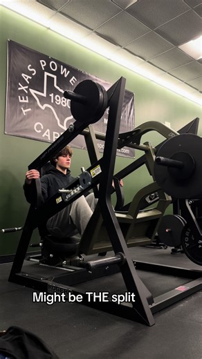 Post and Ant has made legs fun again | ants