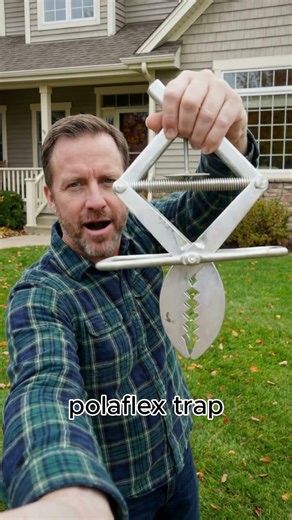 One Set. Zero Moles. The Heavy Steel Polaflex Mole Trap #moletrap #polaflex #pestcontrol