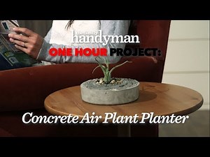 One Hour Project: DIY Concrete Air Plant Planter