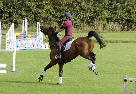 Kissing Spines Explained