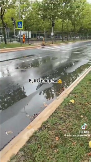 Chiar ești o prințesă 🤭👸