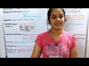 How To Write an Investigative Report