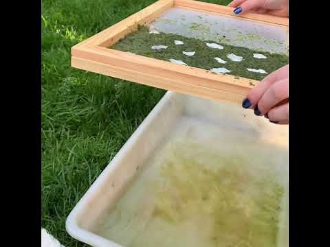 Make paper from nettles