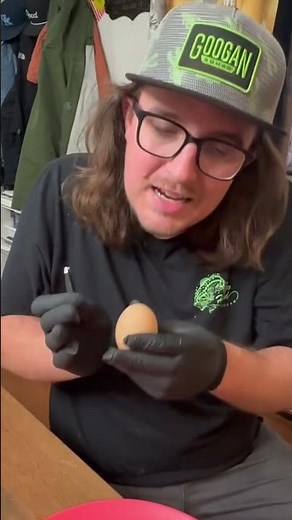 Can We Hatch an Egg WITHOUT Its Shell? #eggs #chickens #chickencoop