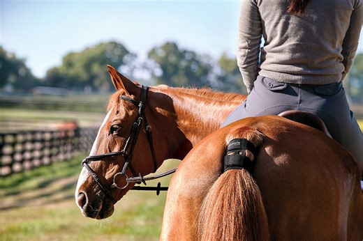 How to better understand your horse with Garmin Blaze - Garmin Blog