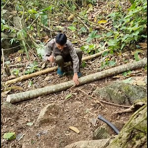 Create a hiding place in the roots of a tree #bushcraft #build #camp #camping #survival #shelter #wildlife #outdoors #outdoor #viral #foryoupagereels | Camping videos Survival
