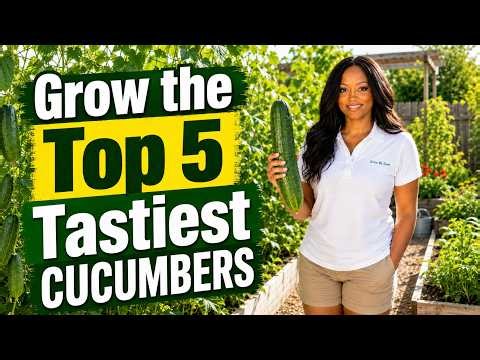 Top 5 Best Tasting Cucumber Varieties for Beginners 🥒🌱 How to Grow Sweet, Crisp Cucumbers 🥒