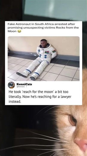 Reach for the moon