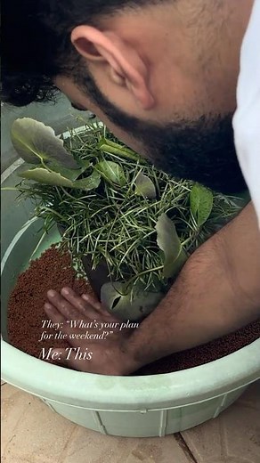 Building an indoor pond at home