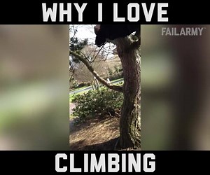 2.8M views · 10K shares | I'll take the elevator | FailArmy | Facebook