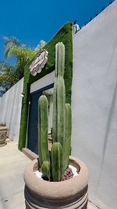 En la vida ajetreada, un descanso es esencial, 🎵🎵🎵 En Mandala Spa Resort, encontrarás tu paz mental. Déjate llevar, es tiempo de soñar, Reserva tu momento, ven a descansar. Esperamos te animes, a tomar esta opción, De relajar tu mente y tu corazón. En Mandala te esperamos, con ansias de cuidar, Tu bienestar primero, ven a renovar. No lo pienses más, aquí tu lugar está, Mandala Spa Resort, donde la calma es real. Esperamos tu visita, reserva ya, Para que la relajación, en tu vida pueda entrar.