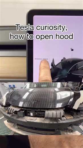 (7093048315503332613) #GoSpring #curiosity #tesla #curioso #teslamodel3 #curiosidades #tesl... | Mood Board Co.