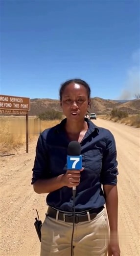 Reporter Collapses on Live TV