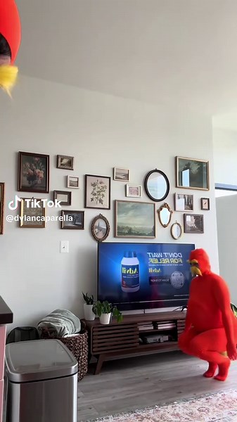 Bashful and the Lorax: Embracing Nature's Message