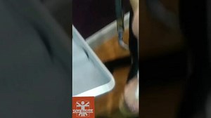 Vertical Clitoris Hood Piercing | 11-07-21 |  Nudity, Sexually and Explicit Video on YouTube