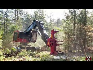 TimberPro TL745D Feller Buncher Cutting in New Hampshire