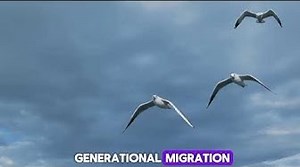 “Discovering the Hidden World of Birds: Amazing Encounters and Fascinating Facts!”