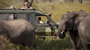 Imagine endless savannas teeming with millions of wildebeest, towering boulders sprawling with tawny lions, and collapsed volcanoes brimming in mist. Imagine a place completely unaware of civilization where wildlife still reigns supreme. It is hard to believe a place like this still exists, but it does. It is called Tanzania. DISCOVER THE MAGIC: http://bit.ly/2OQ6wqY | Africa Dream Safaris